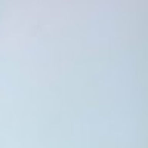 Meet your Posher, Jerrell